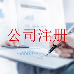 奉贤区内资公司注册