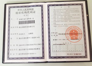 重庆利财管道正式注册成立