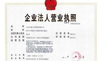 怎么认定公司抽逃注册资本