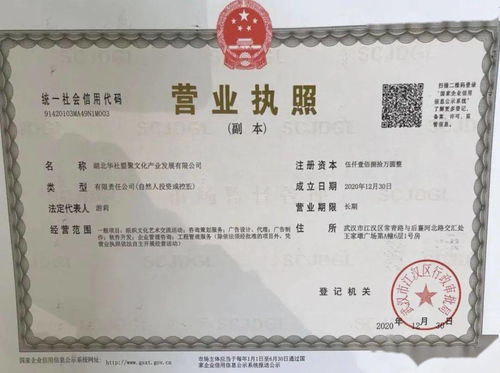 华社集团简介