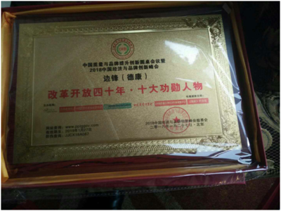环球国际典当投资置业集团CEO边锋(德康)获:十大功勋人物前.
