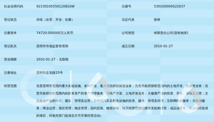 昆明发展投资集团