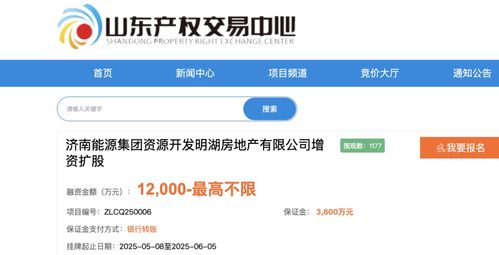 济南能源集团旗下明湖地产要增资扩股引 战投