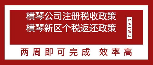 珠海横琴投资公司注册与政策解读 投资集团公司设立全指南